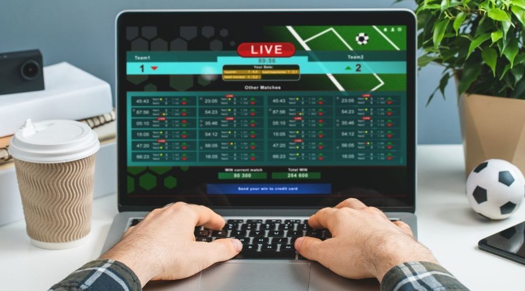Babylio prono avis : tout savoir sur cette plateforme de paris sportifs